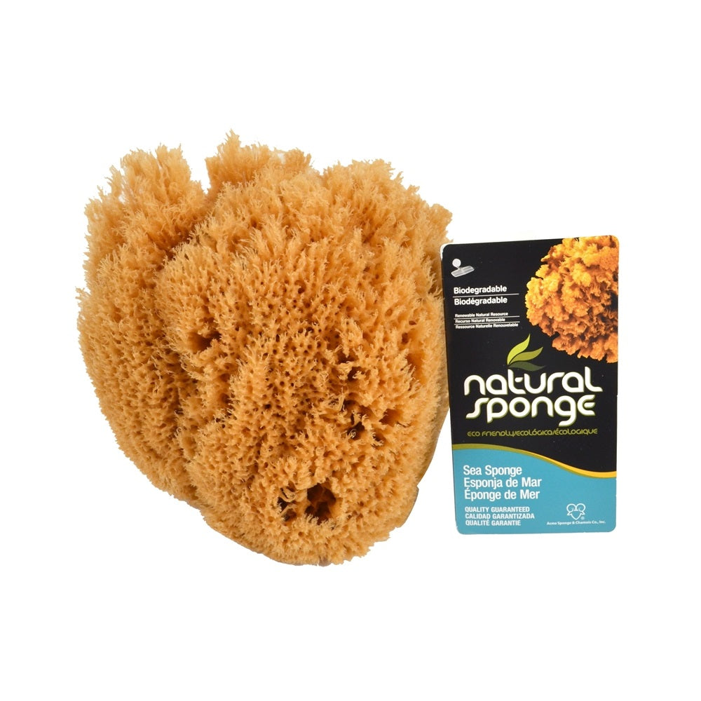 Armaly Proplus 46000 (SW #1-7080C) Seawool Sponge, 7" to 8", Natural, Medium