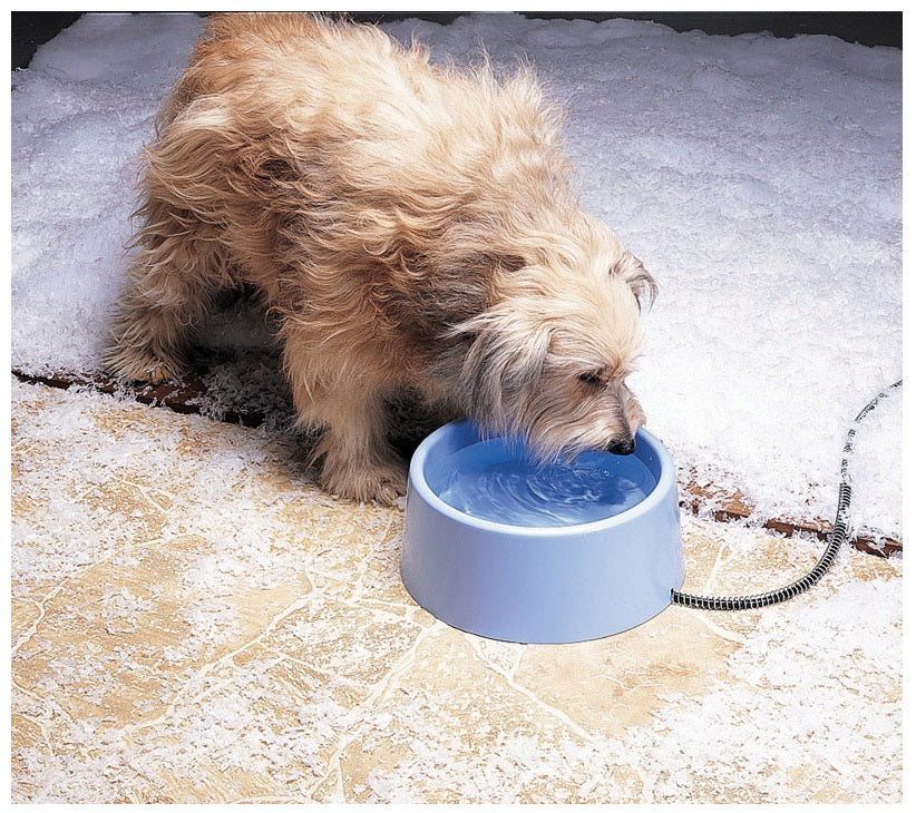 buy feeding & watering supplies for dogs at cheap rate in bulk. wholesale & retail bulk pet food supply store.