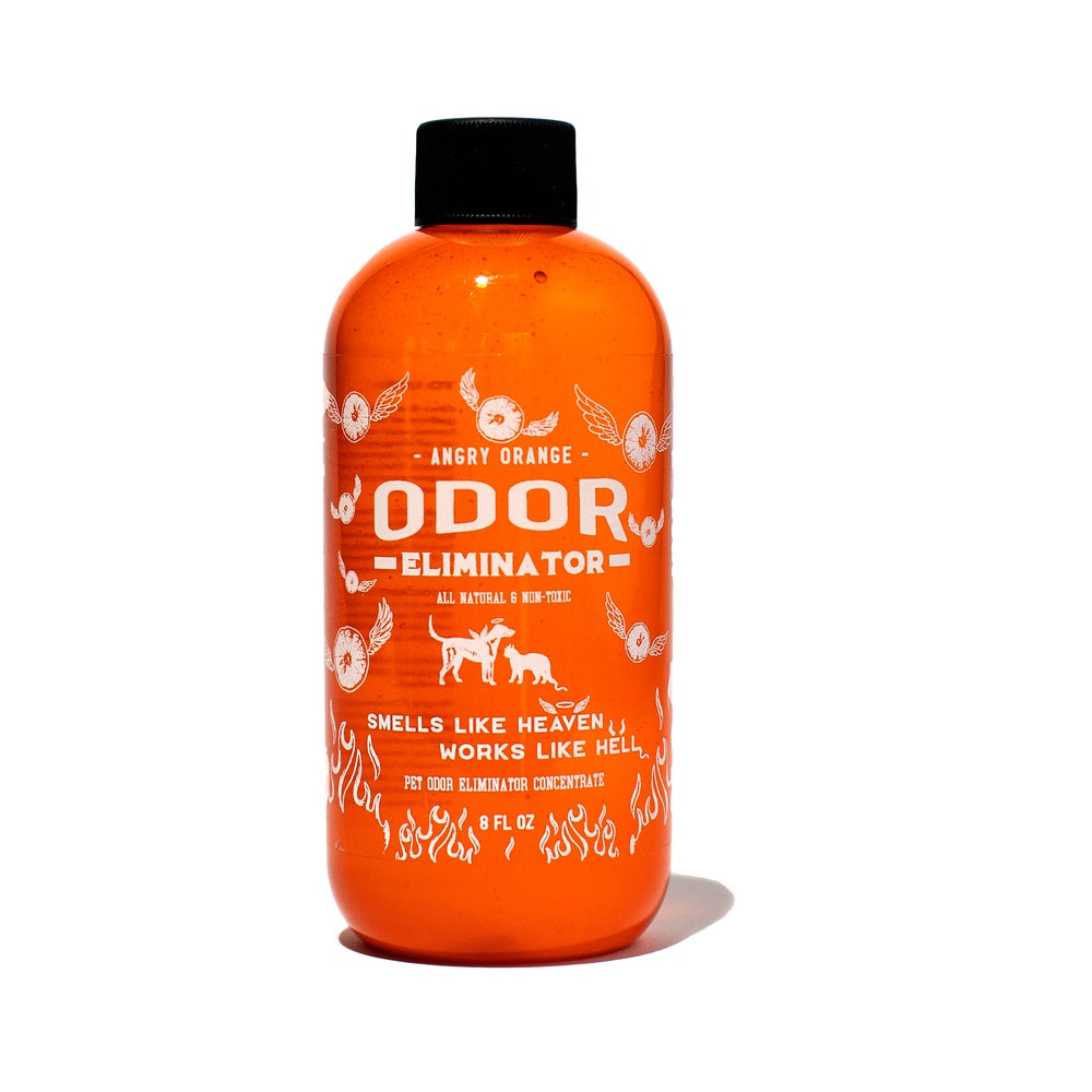 Angry Orange Q9-V7BL-ZRIL All Pets Odor Eliminator Concentrate, 8 Oz