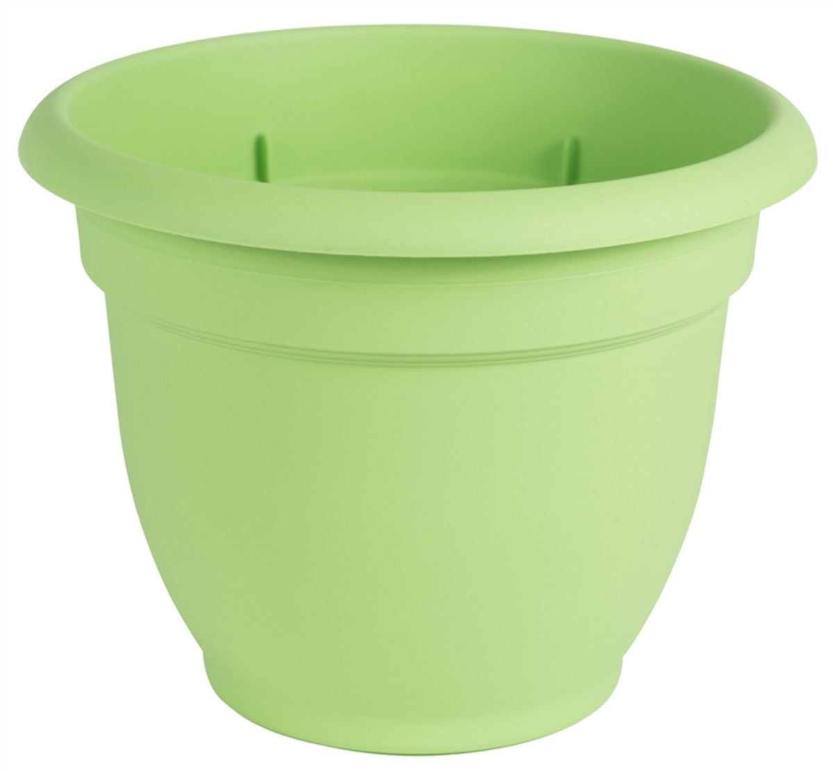 Bloem AP0625 Ariana Self-Watering Planter, 1/2 Gallon Capacity