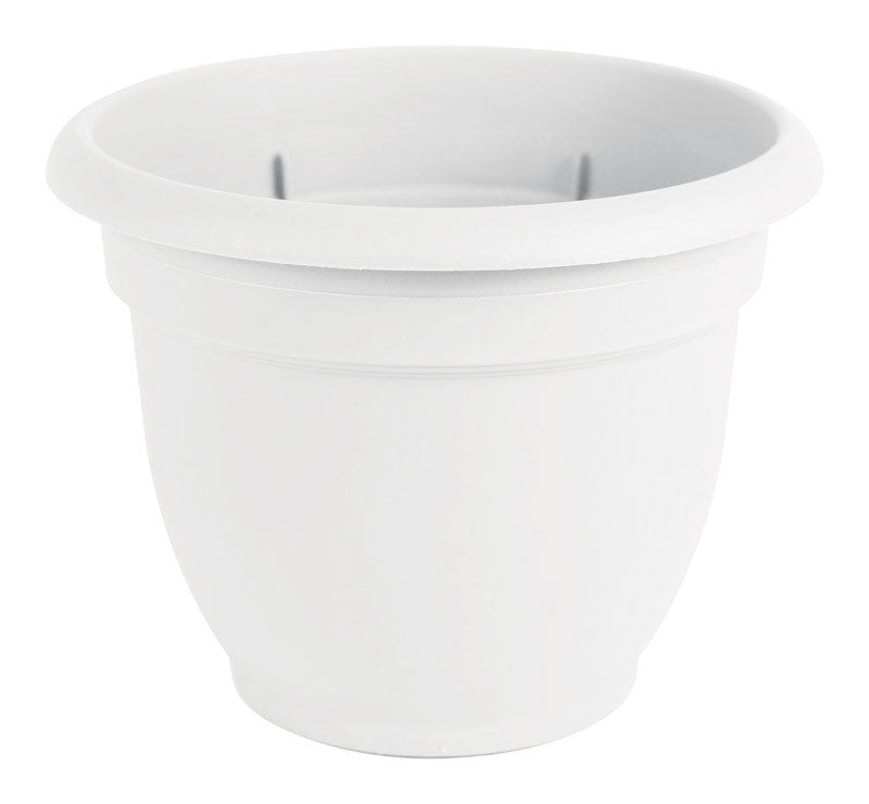 buy plant pots at cheap rate in bulk. wholesale & retail landscape maintenance tools store.
