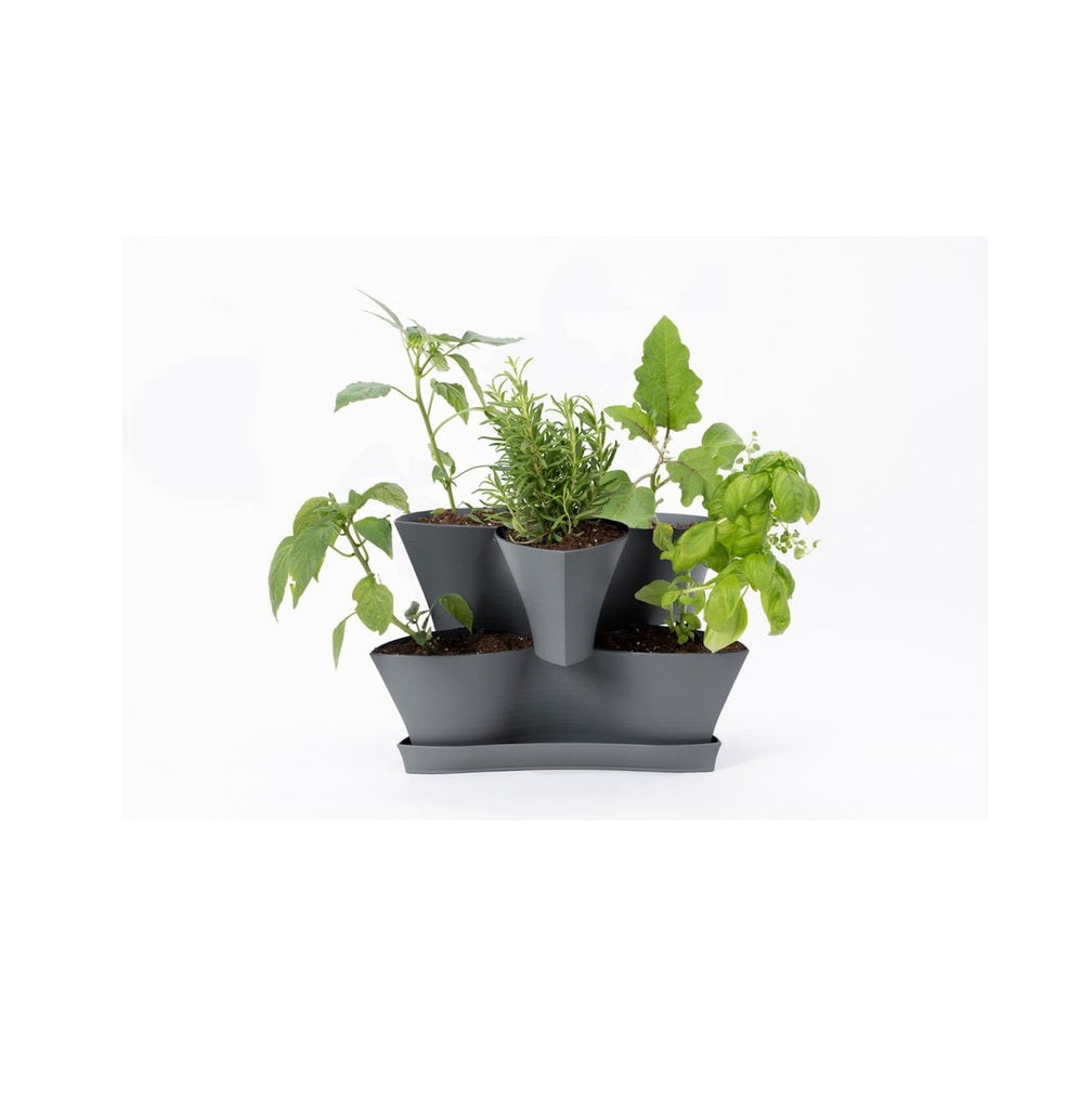 Bloem COL16908-2 Collins 2 Level Planter, Resin, 16 in