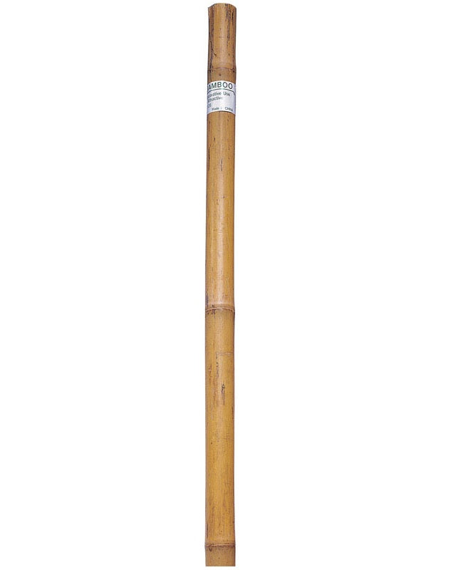 buy flower & plant support at cheap rate in bulk. wholesale & retail landscape maintenance tools store.