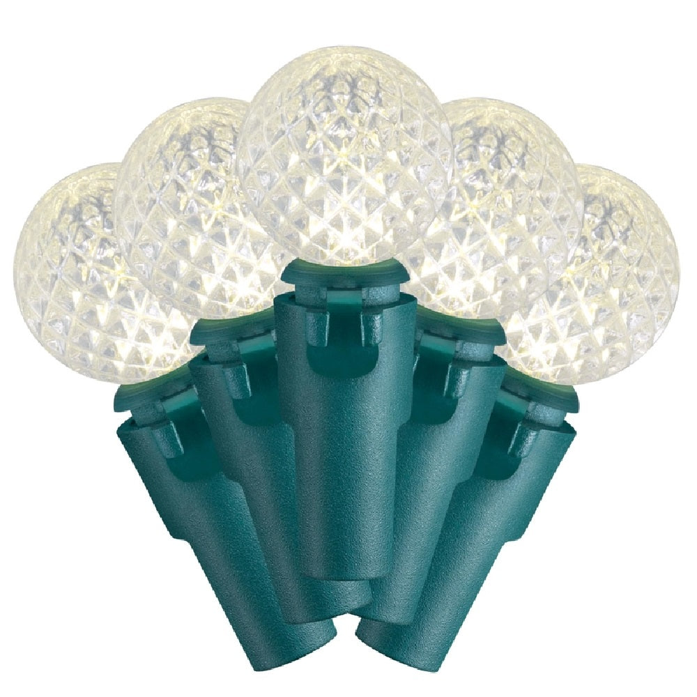 Celebrations 11943-71 Christmas G14 Light Set, Warm White