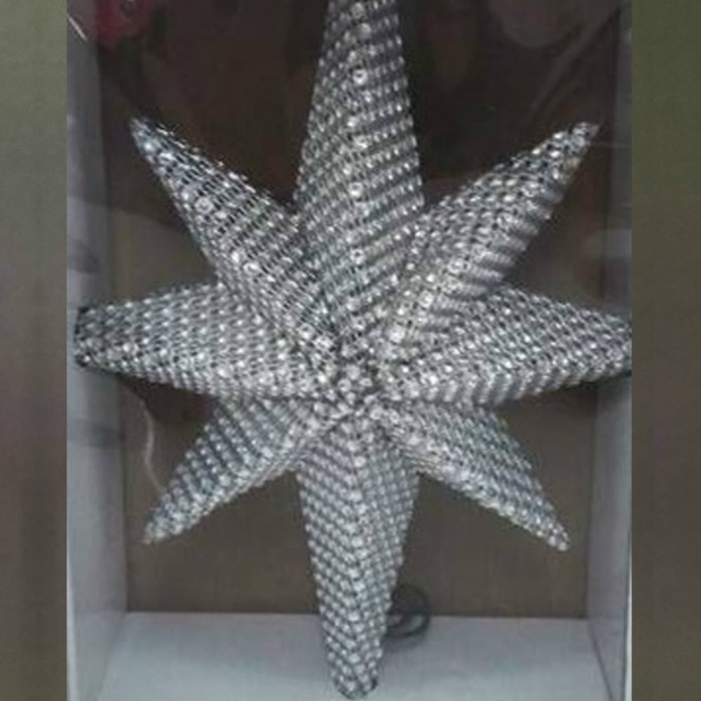 Celebrations 49431-71 Star of Bethlehem Indoor Christmas Decor, Silver