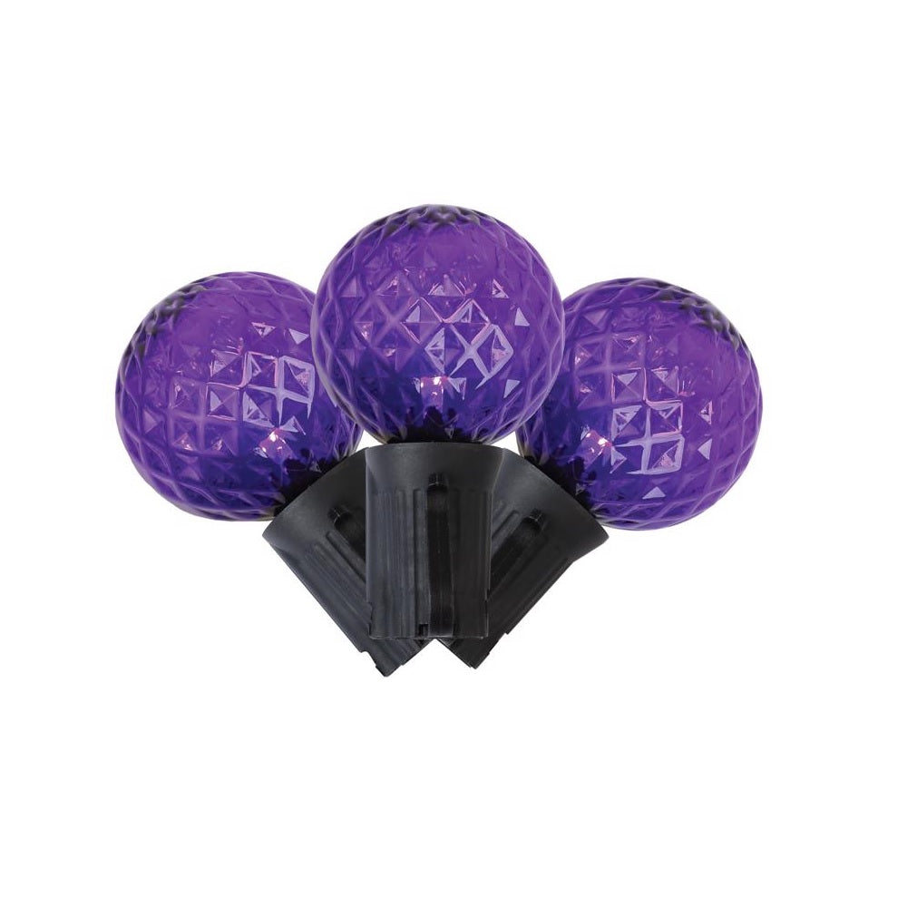 Celebrations G4025PL8A LED Halloween Lights, Purple