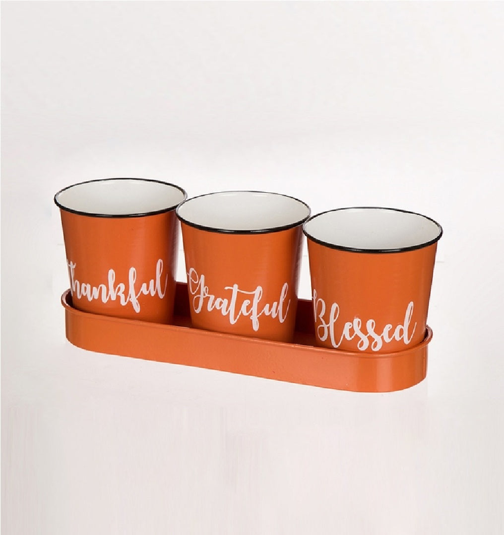 Celebrations JK48729 Enamel Fall Buckets With Tray, Metal, Orange