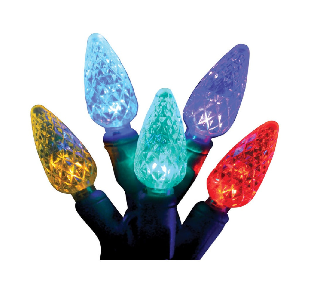 Celebrations LEDR-C650-MU6PA Platinum Christmas LED Light Set