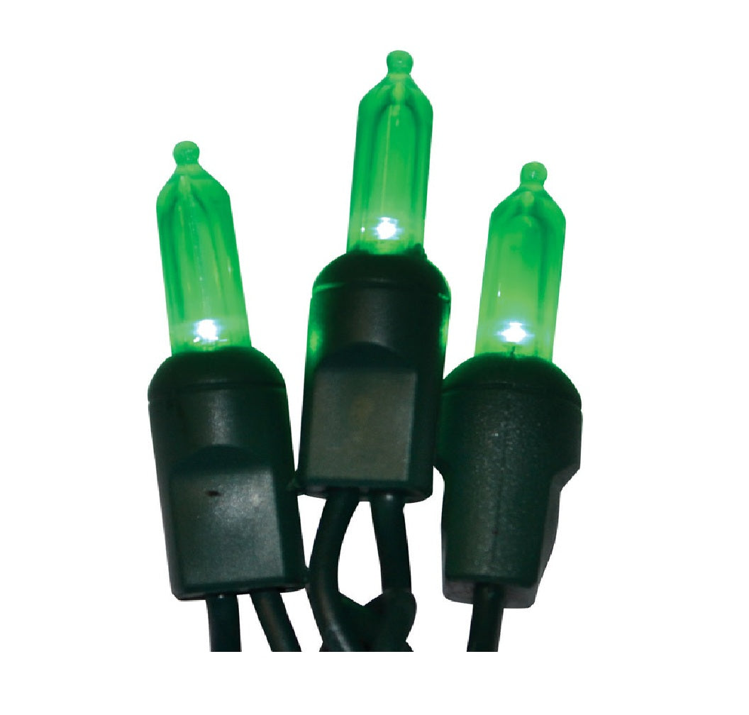 Celebrations LEDR-T550-GR6PA Platinum Christmas T5 LED Light Set