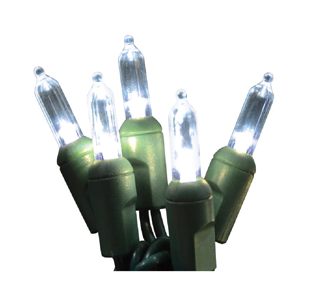 Celebrations LEDR-T550-PW6PA Platinum Christmas T5 LED Light Set