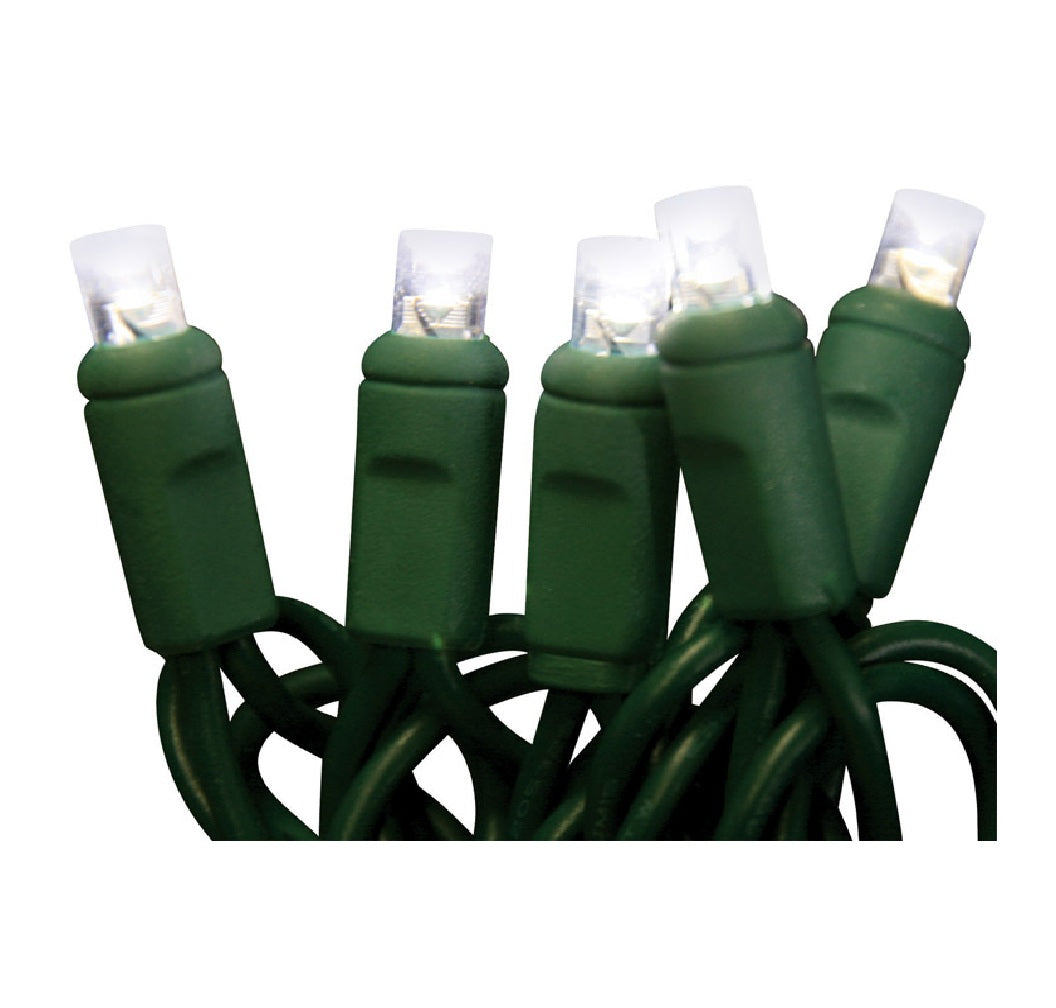 Celebrations LEDR-WA50-PW6PA Platinum Christmas LED Light Set