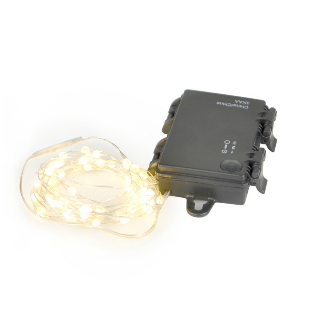 Celebrations MICB-SLV100-WWA Big Seed Micro Christmas Light Set, Warm White