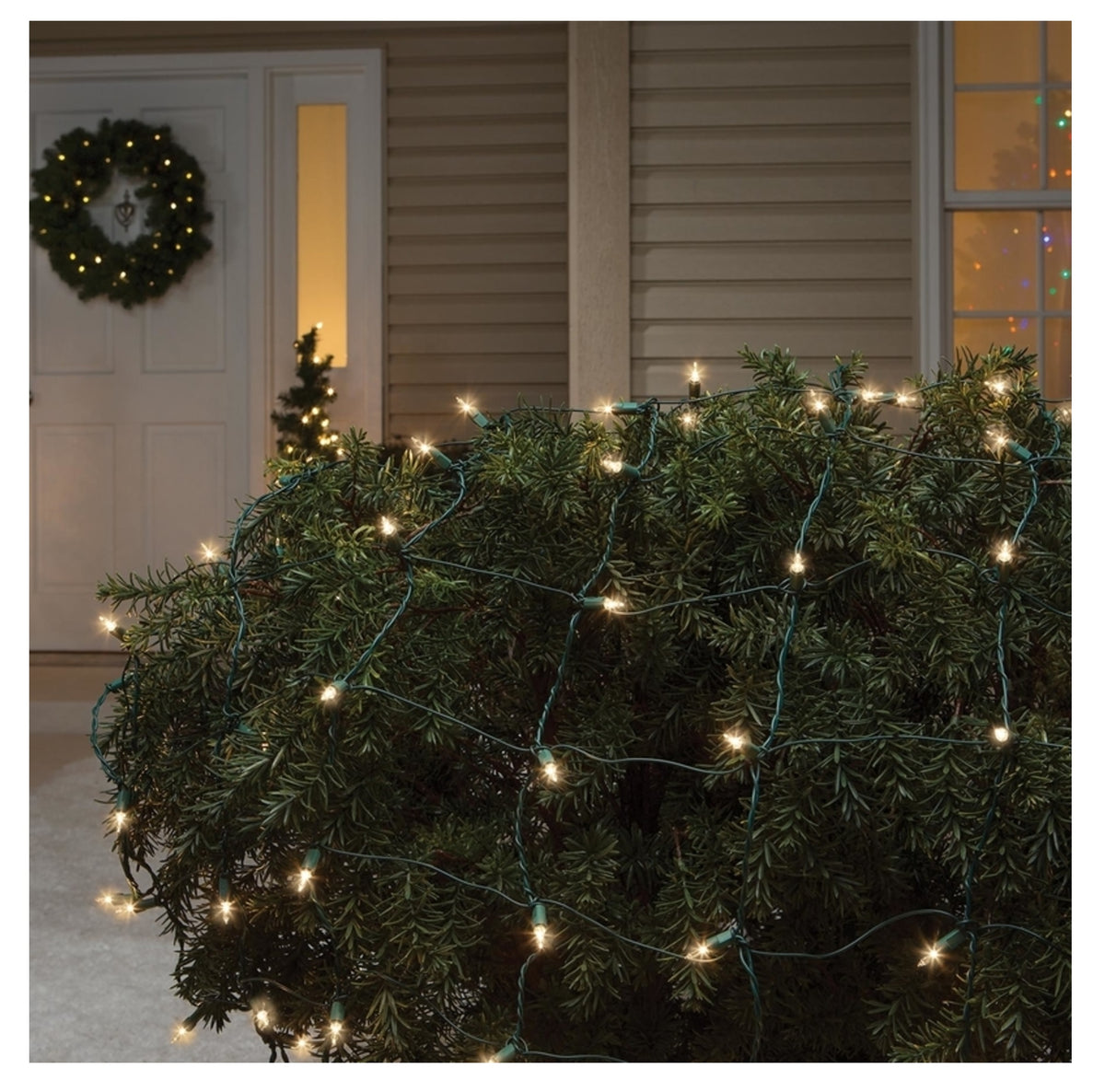 Celebrations 44810-71M Staylit Net Commercial Christmas Light Set, Clear