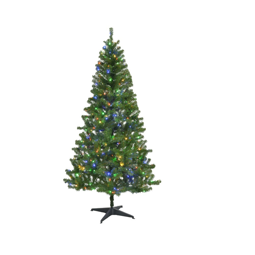 Celebrations TBP70S05A Slim LED Winchester Christmas Tree, 7 Feet