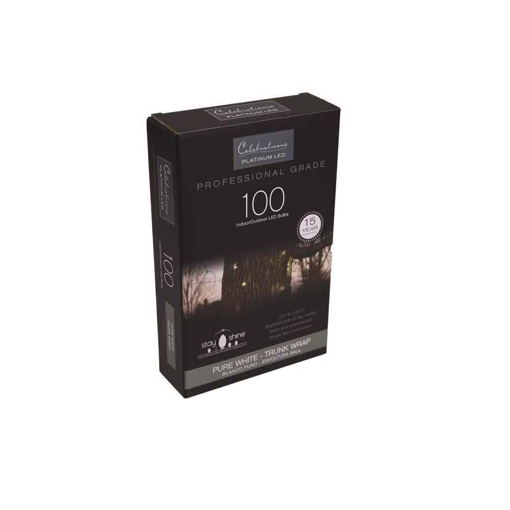 Celebrations TW100BPWA Platinum LED Mini Net Christmas Lights, Pure White