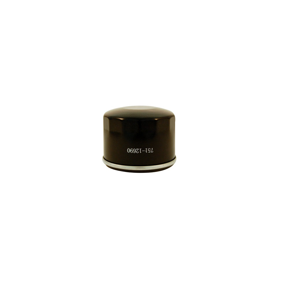 Craftsman CMXGZAM201010 Oil Filter