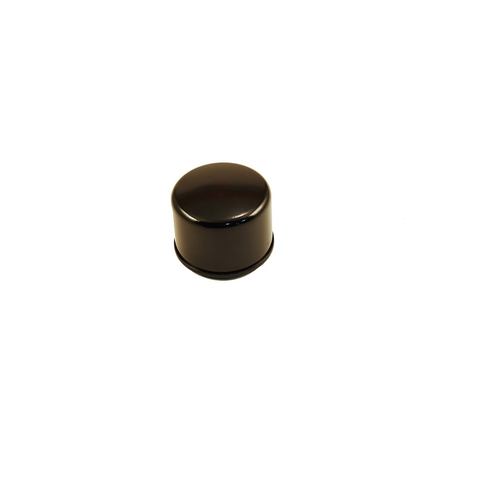 Craftsman CMXGZAM201009 Oil Filter, Brown