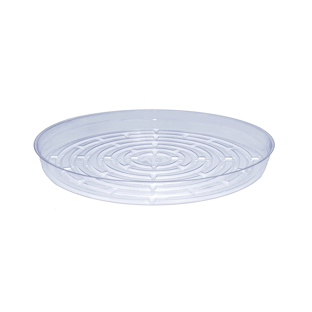 Curtis Wagner Plastics CW-1300N Everspring Plant Saucer, Clear