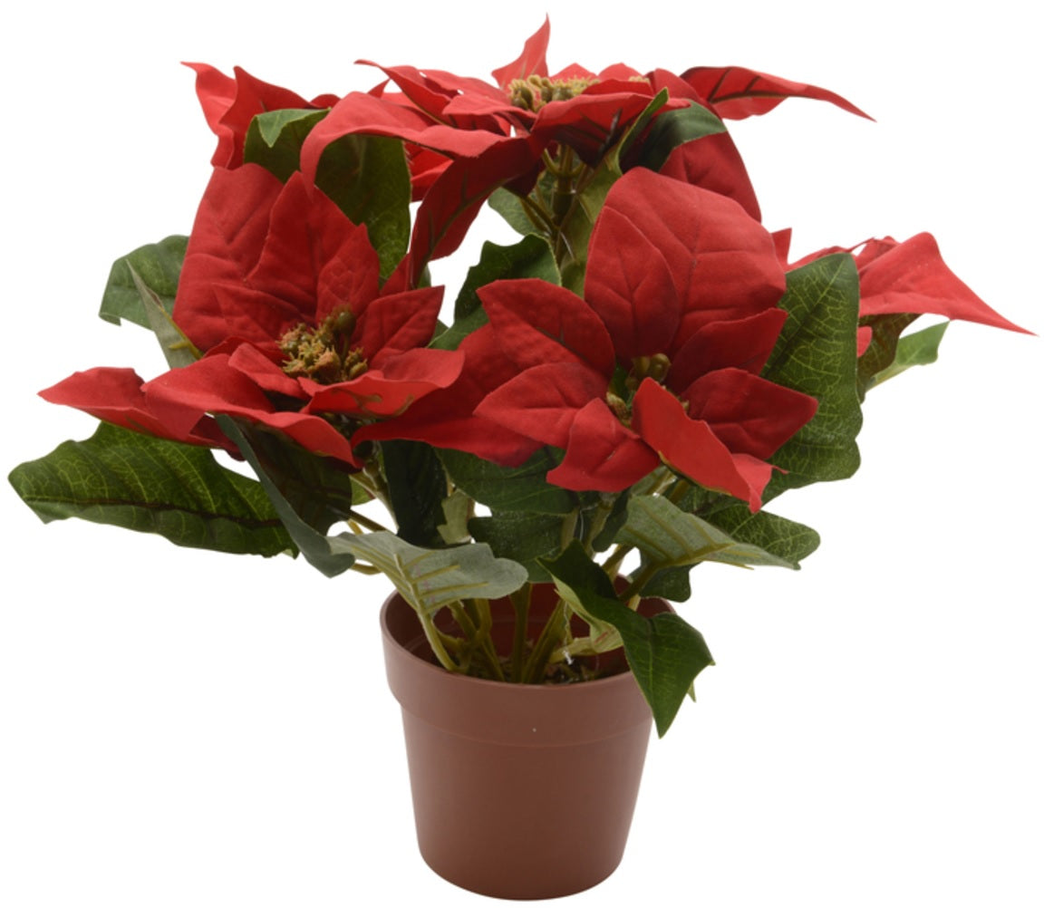 Decoris 627876 Potted Poinsettia Christmas Decoration, Red