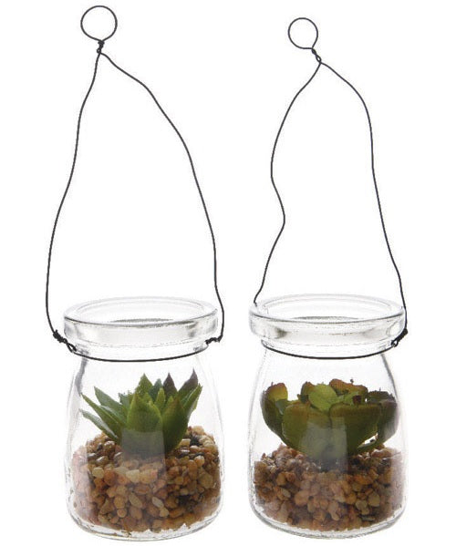 Decoris 800657 Succulent In Hanging Glass Pot, Assorted Color