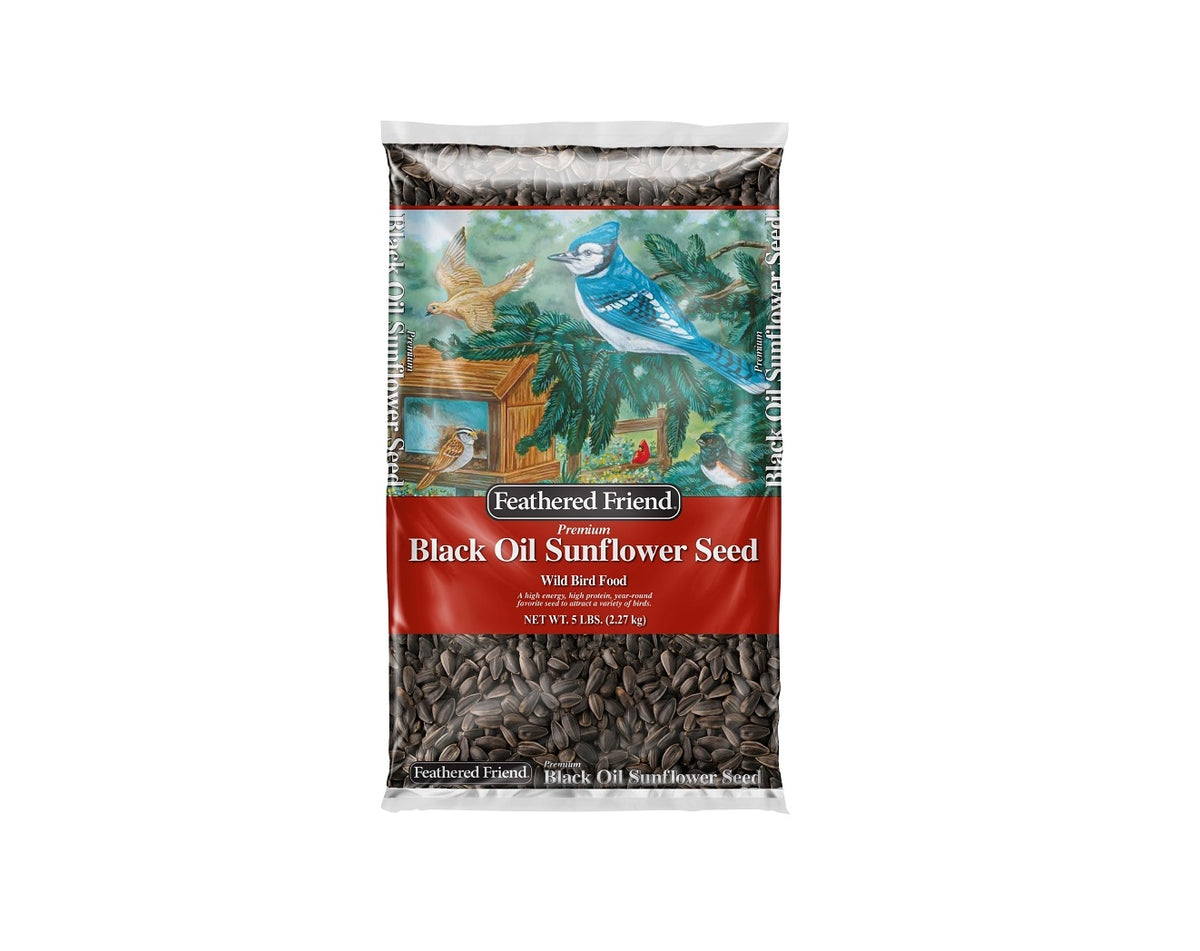 Feathered Friend 14416 Black Oil Sunflower Seed Wild Bird Food, 5 Lb