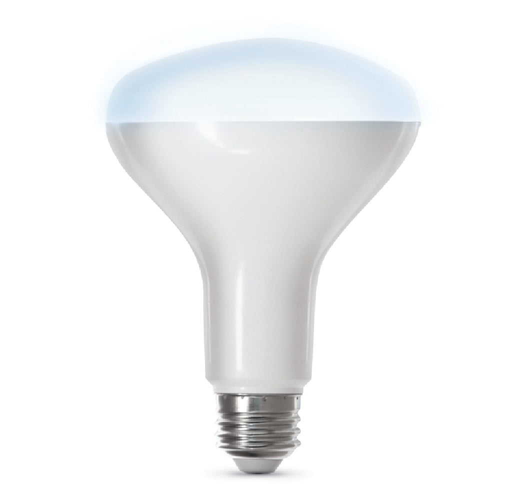Feit Electric BR30/950CA/AG Smart WiFi LED Bulb, Daylight, 8 W