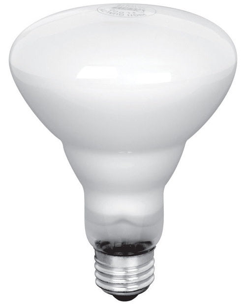 buy led light bulbs at cheap rate in bulk. wholesale & retail lamps & light fixtures store. home décor ideas, maintenance, repair replacement parts