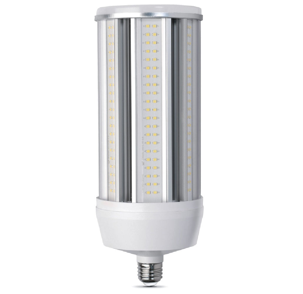 Feit Electric C15000/5K/LED Cylinder E26 LED Bulb, Natural Light