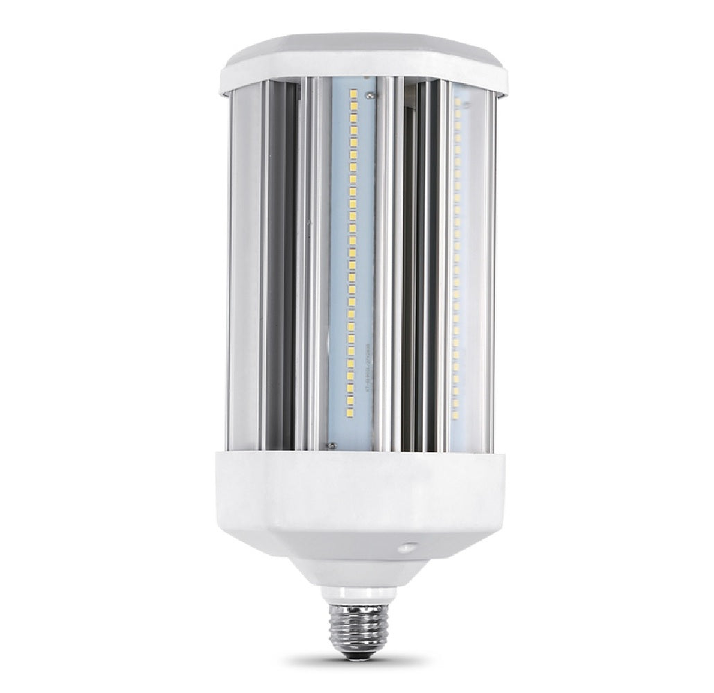 Feit Electric C10000/5K/LEDG2 Specialty LED Bulb, Clear, 100 Watts