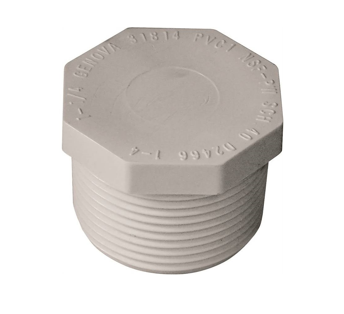 Genova 450012BC Pipe Plug, 1-1/4 in MIP