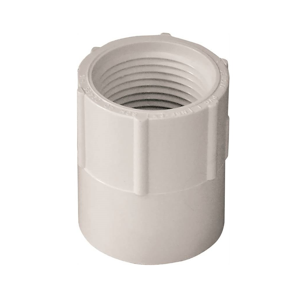 Genova 435007BC 300 Series Pipe Adapter, White, 3/4 in