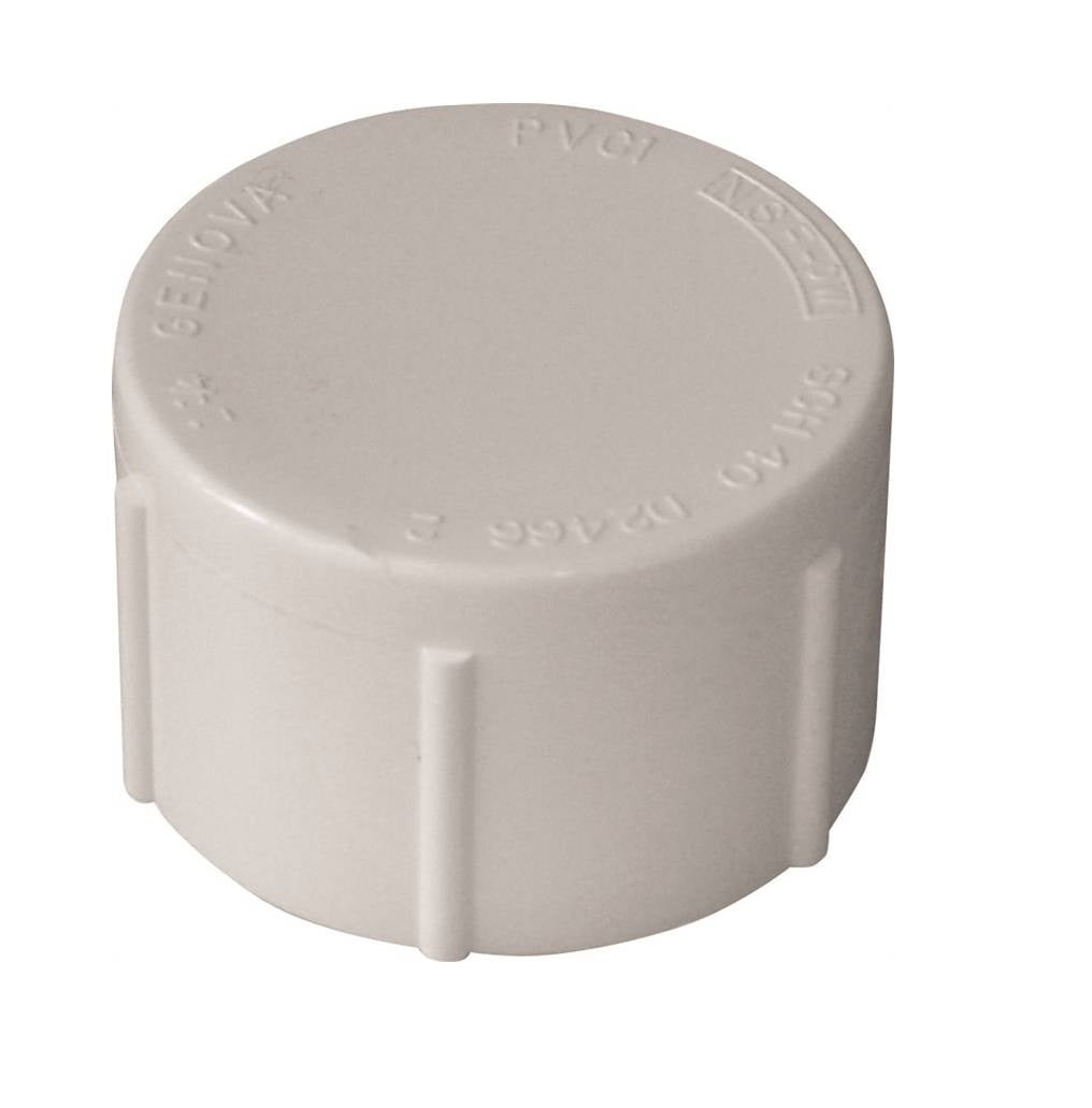Genova 448012BC 300 Series Pipe Cap, White, 1-1/4 in