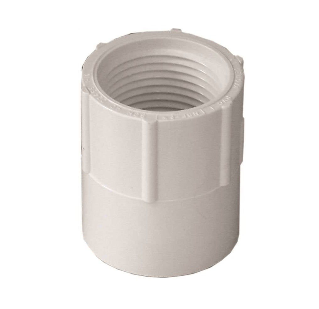 Genova 435007CPRMC 300 Series Pipe Adapter, White, 3/4 in