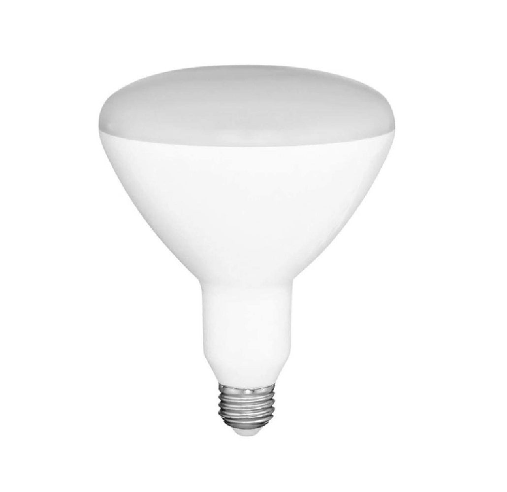 Global Value Lighting FG-03165 BR30 Reflector LED Bulb, Frosted