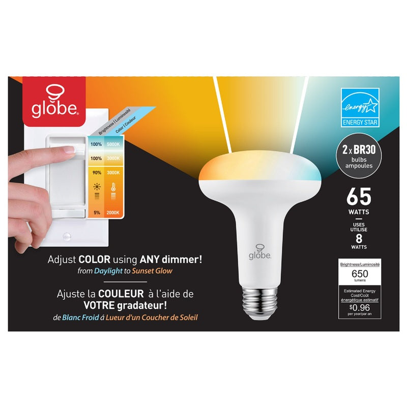 Globe Electric 33132 BR30 LED Light Bulb, 5000K