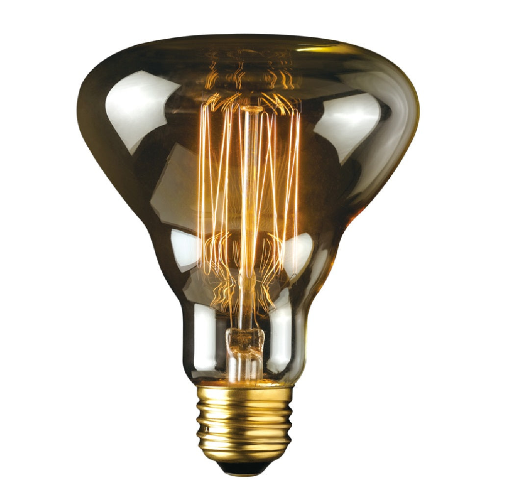Globe 84654 Labo R30 Decorative Incandescent Bulb, Amber, 40 W