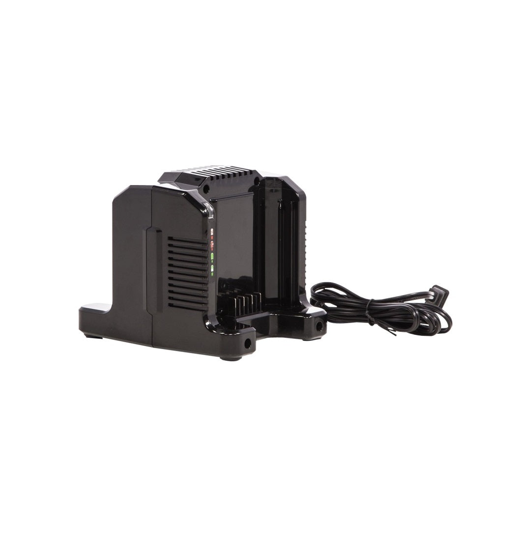 Greenworks Pro 2958602AZ Dual-Port Rapid Charger, 80 V, 5 Ah