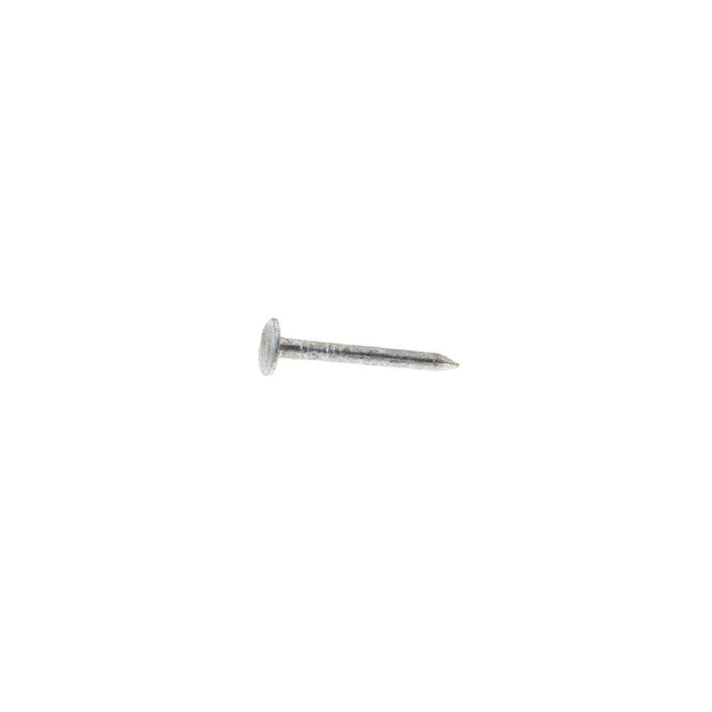 Grip-Rite 2ASDG1 Siding Nail, Aluminum, 2 Inch