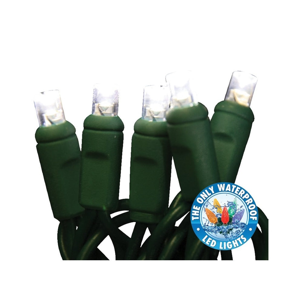 Holiday Bright Lights LEDBX-WA50-PW6 LED Christmas Light Set, 50 Lights