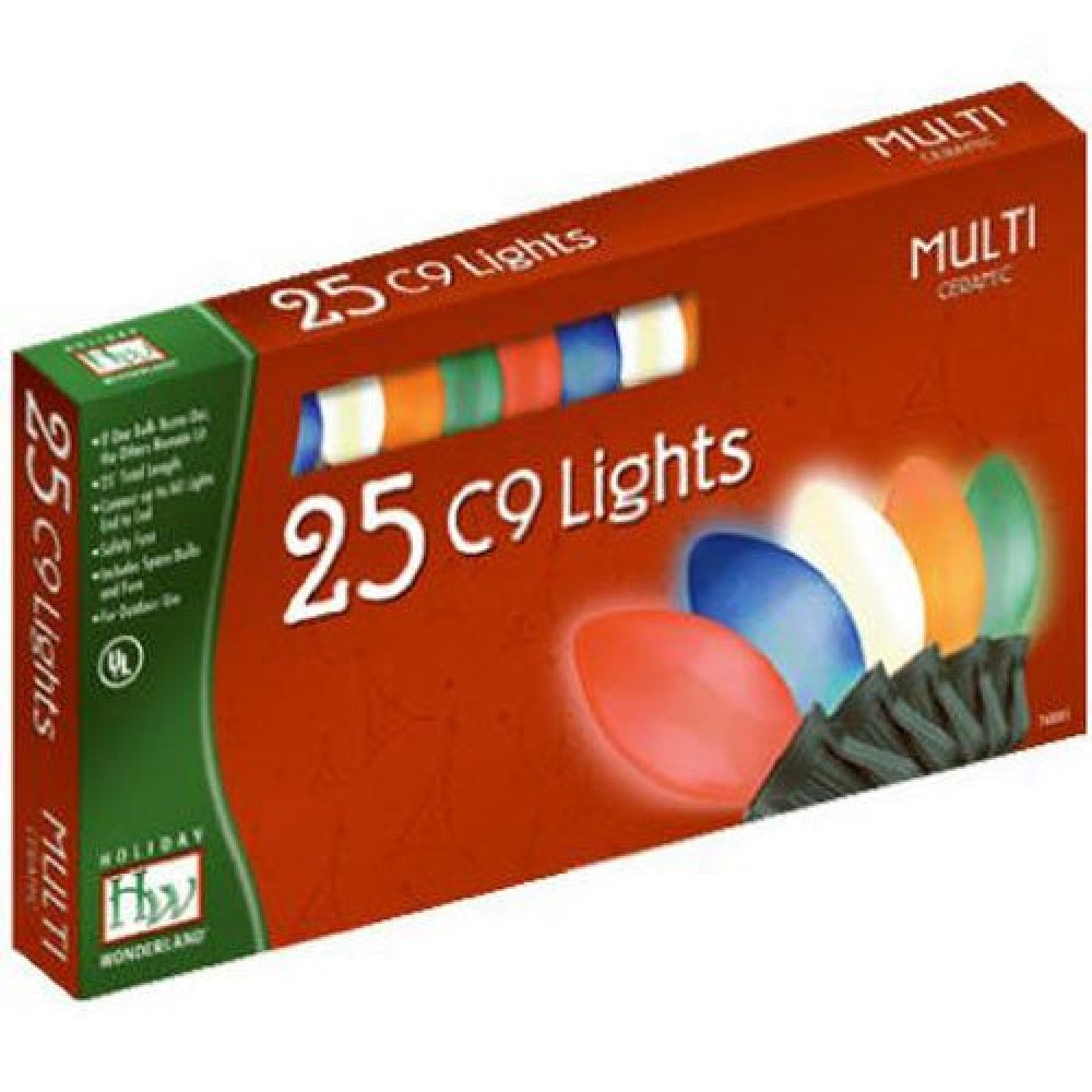 Holiday Wonderland 2924-88 Christmas Lights Set, Multi-Color