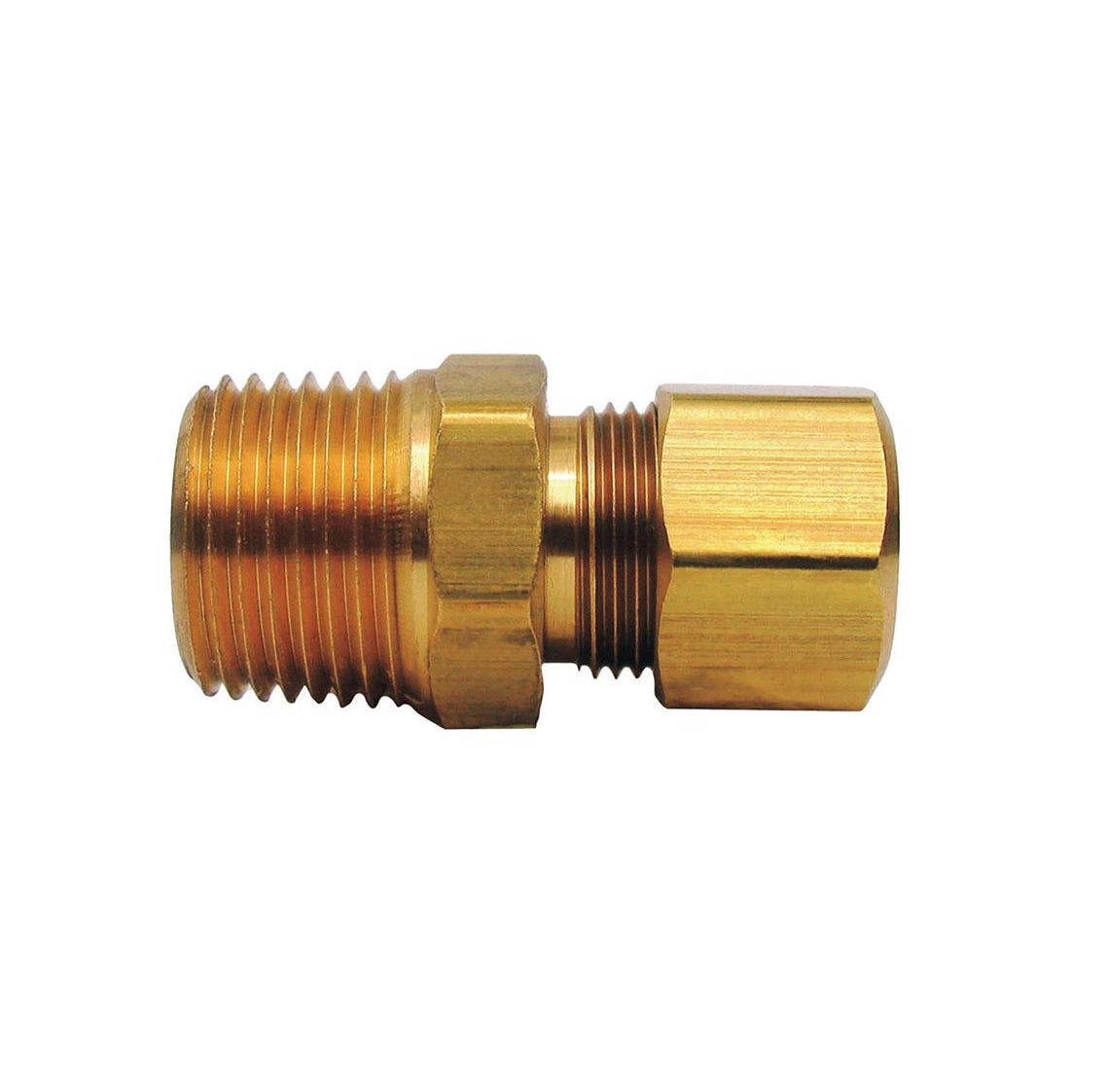 Homeplus+ 6JC120110701026 Compression Male Connector, Brass