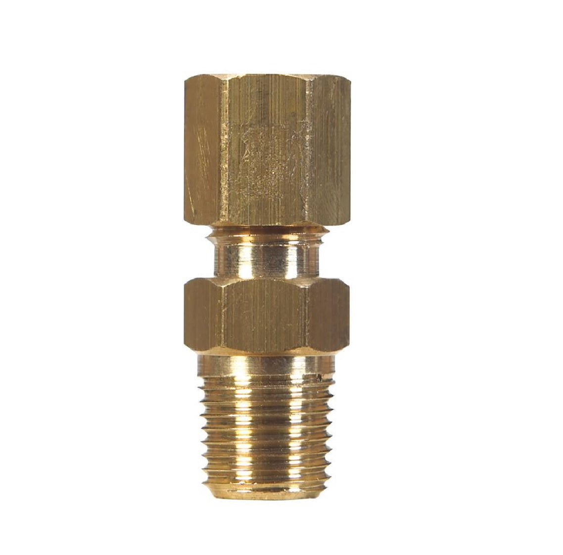 Homeplus+ 6JC120110701031 Compression Male Connector, Brass