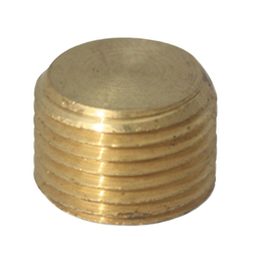 Homeplus+ 6JC120810701048 Counter Sunk Plug, Brass