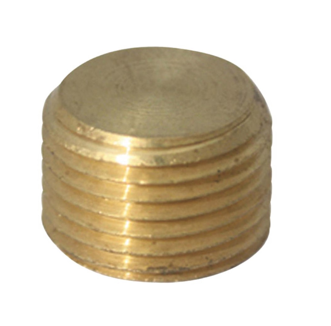 Homeplus+ 6JC120810701049 Counter Sunk Plug, Brass