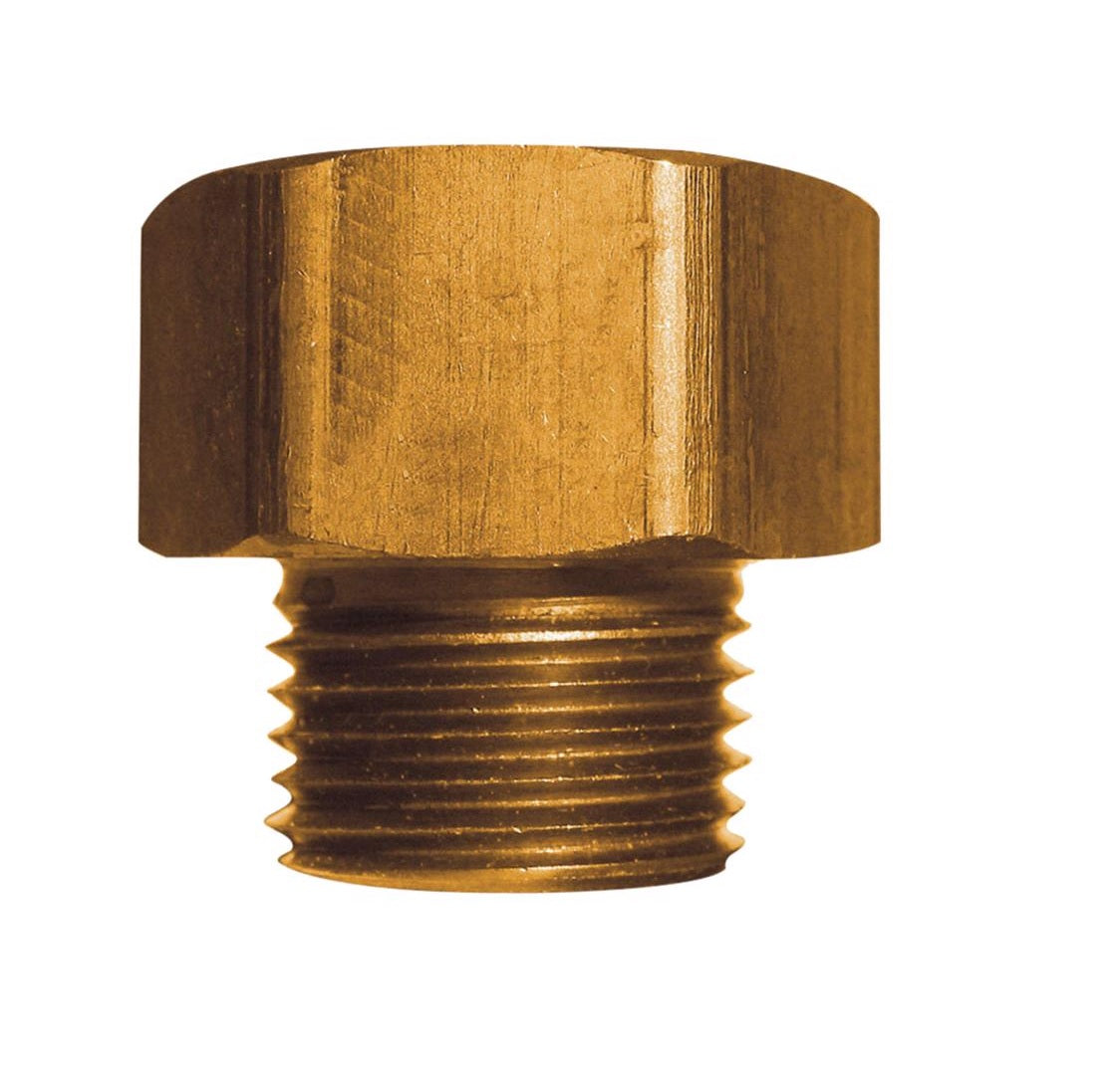 Homeplus+ 6JC126301511015 Hose Adapter, Brass