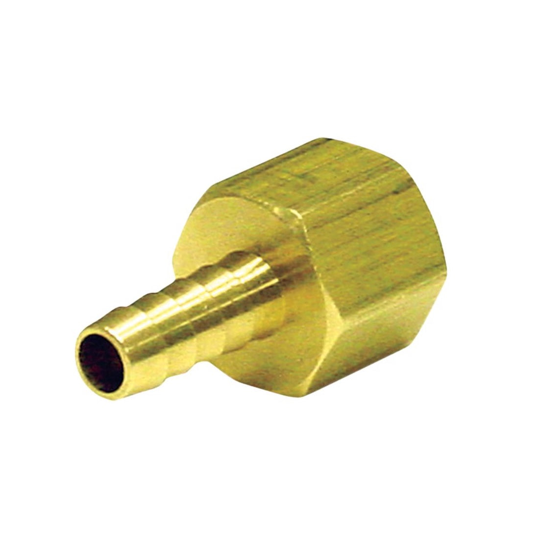 Homeplus+ 6JC126310701042 Lead-Free Adapter, Brass