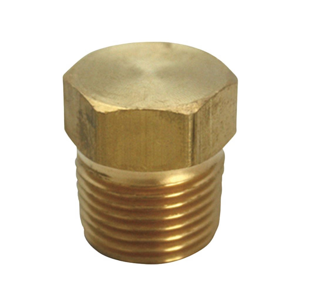 Homeplus+ 6JC120810701017 MPT Hex Head Plug, Brass