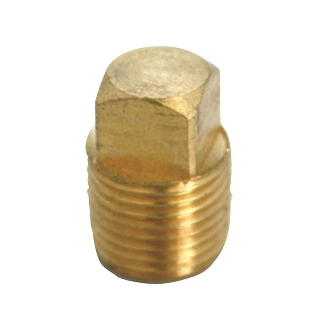 Homeplus+ 6JC120810701012 MPT Square Head Cored Plug, Brass