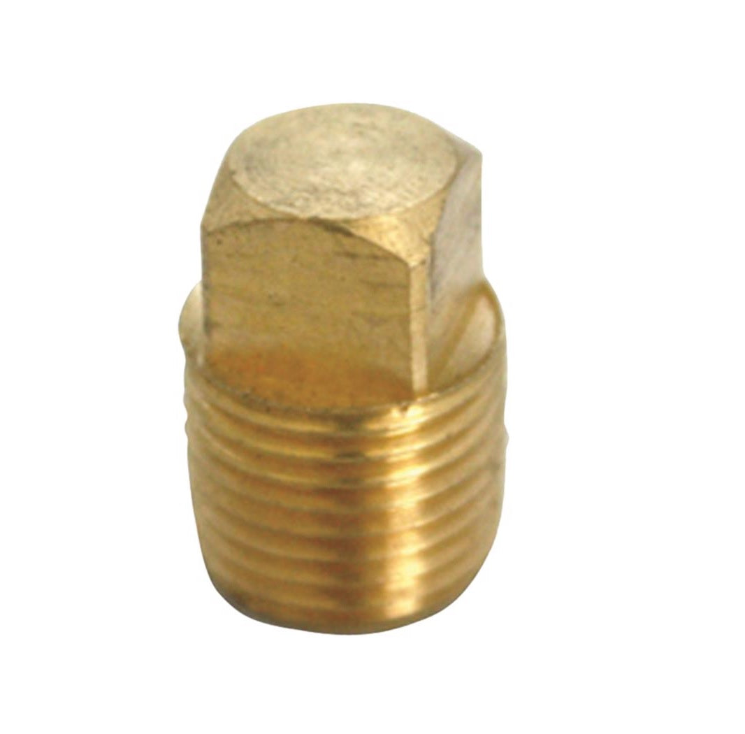 Homeplus+ 6JC120810701013 MPT Square Head Cored Plug, Brass