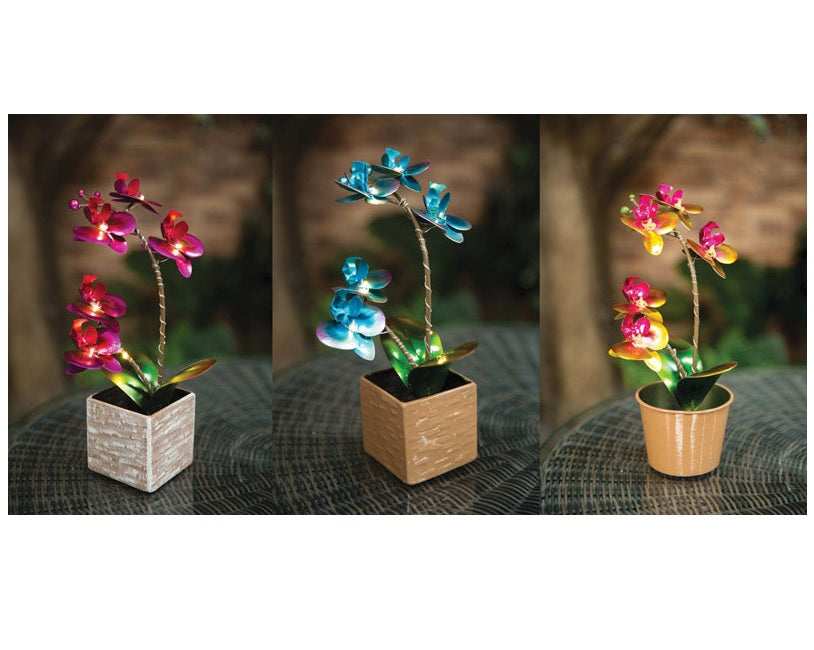 buy solar powered lights at cheap rate in bulk. wholesale & retail lawn & garden maintenance & décor store.